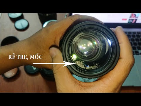 Lens Máy Ảnh Bị Bụi, Mốc, Rễ Tre, Chụp Ảnh Mờ, Lóa Khi Chụp Ngược Sáng Và  Cách Xử Lý - Youtube