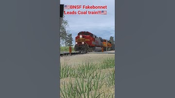 BNSF 790 & 9995 lead