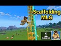 Trying to do Scaffolding mlg but fail 🥹🥹🥹🥹