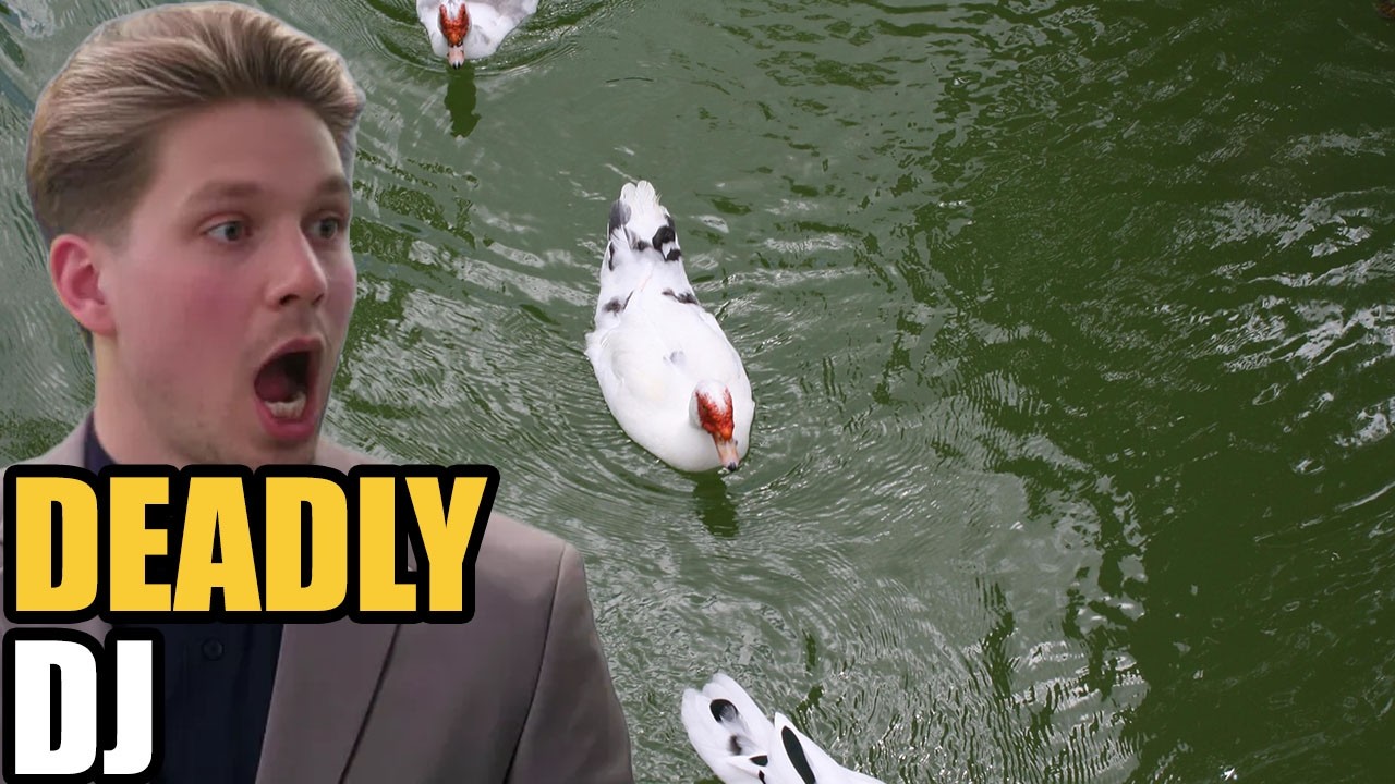 The Wedding DJ Who Used Strobe Lights to Trigger Fatal Seizures Exposed