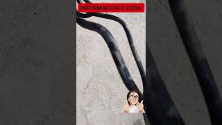 problema al llenar tanque de gasolina