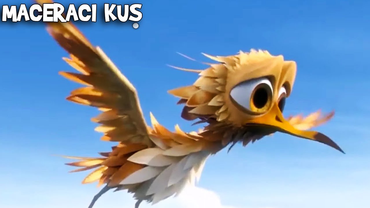Minik Kuş, Sürüyü Kaybetti | Maceracı Kuş  Animasyon Filmi