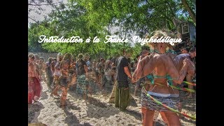 [Documentary] Introduction to Psychedelic Trance