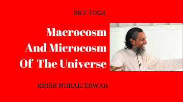 Macrocosm and Microcosm of the Universe