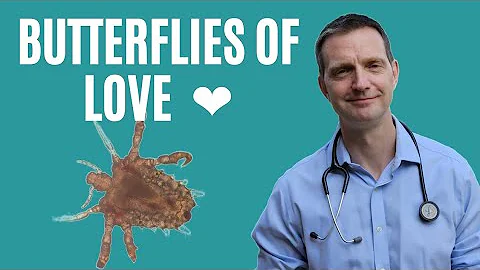 Pubic lice explained