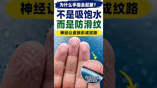 为什么泡久了手指会起皱？其实不是皮肤吸饱水了 #为什么系列 #生活科学 #科普短视频 #手指起皱 #泡水 #防滑纹 #身体机制 #everydayscience