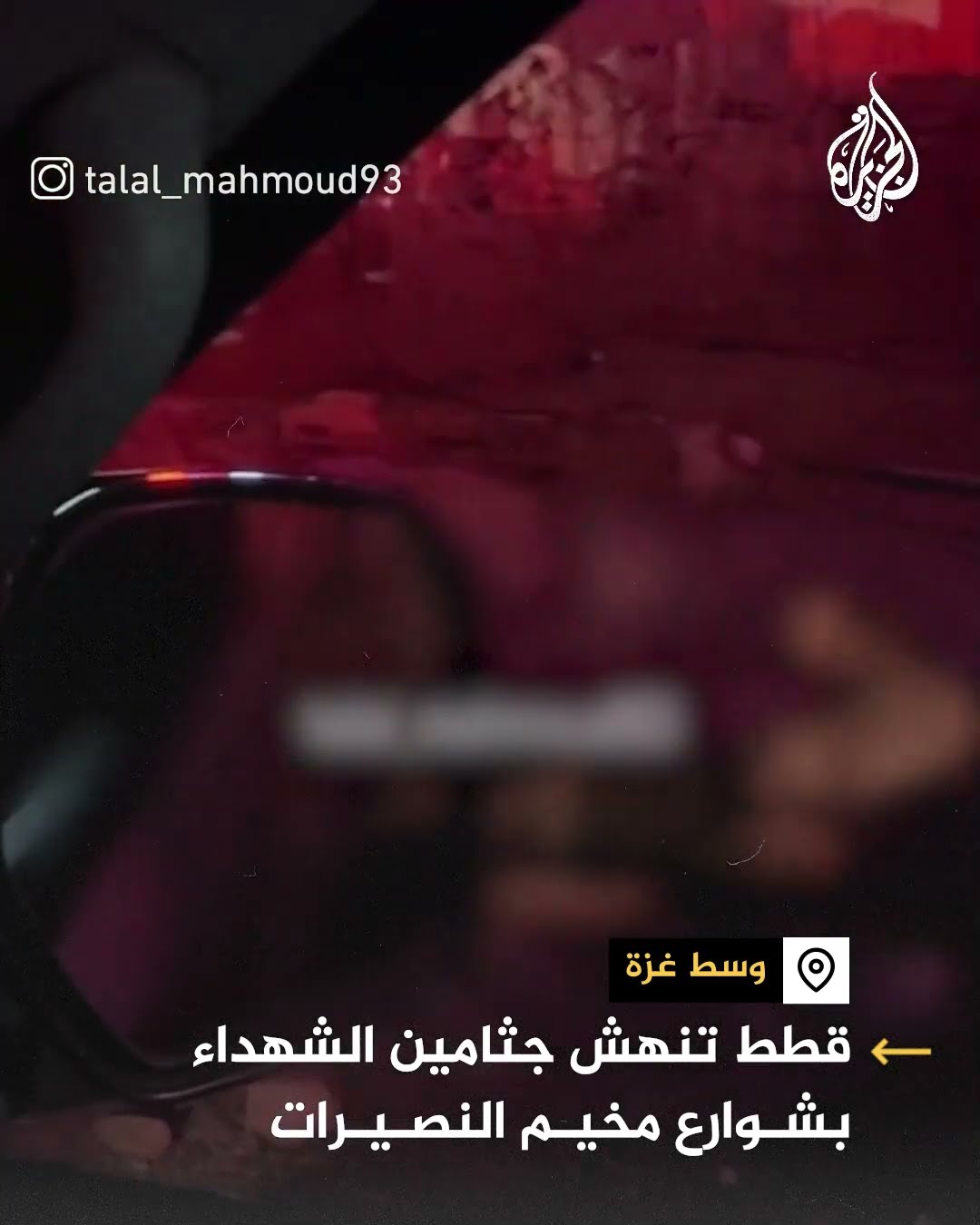 قطط تنهش جثمان فلسطيني في المخيم الجديد بالنصيرات وسط قطاع غزة