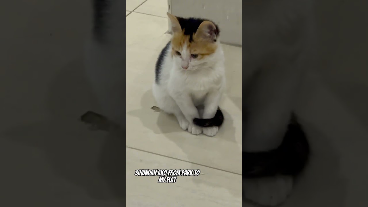 ЗИМНИЙ СТРАННИК 