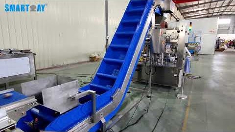 fish fillet weighing packing system smartweighpack LC12 head zipper bag