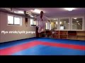 Karate Kumite-Specific Speed Agility and Quickness Training Program