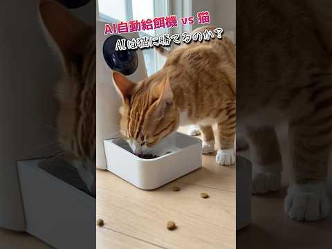 最新のAI自動給餌機、愛猫には勝てなかった #猫 #ai #もしも家電