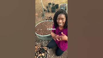 How to Lazy Compost #garden #fyp #gardentips #compost #composting #homesteading #mulching