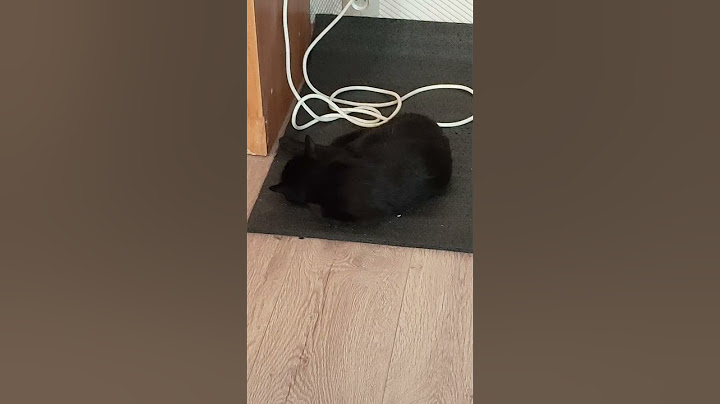 Kitty Lastyonka is sleeping) #ole7 #cat #catfey #ole7 #cat #lastyonka #videosfromcat