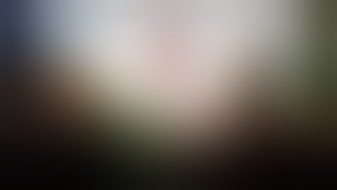 Guild Wars 2 - Tomb of the Primeval Kings Mastery Point - WITHOUT Skyscale or Griffon.