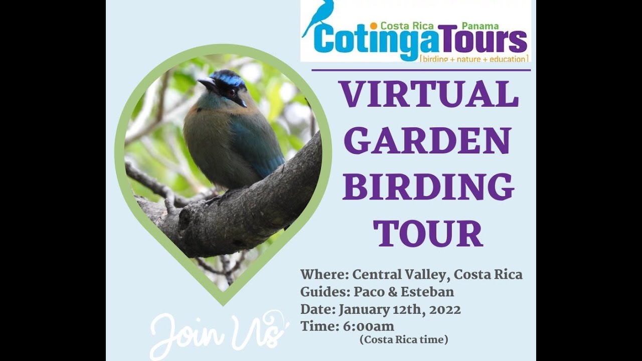 Live Virtual Birding Tour - Costa Rica Backyard Birding Jan 12, 2022 ...
