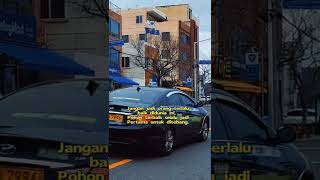 Download Lagu Story wa di korea selatan MP3