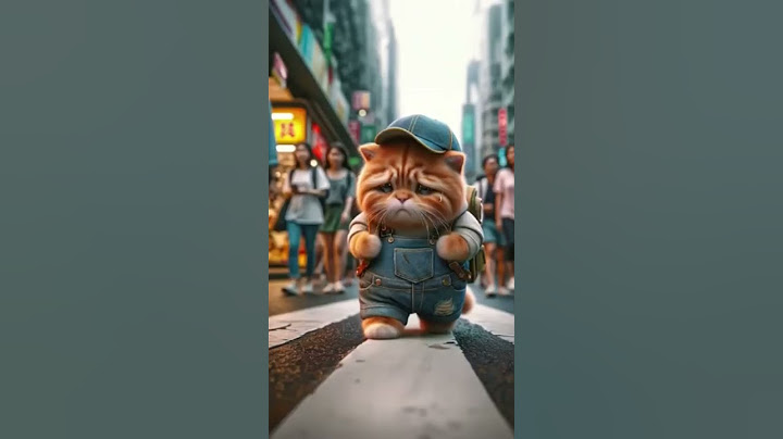 Cute cats           #cat #catlover #catvideos #cats #kitten #cutecat #emoji #emoji #viral #trending
