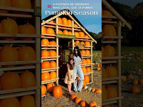 Pumpkin Farm UK | colhemos tipos diferentes de abóboras que eu nunca vi #brasileirosnainglaterra