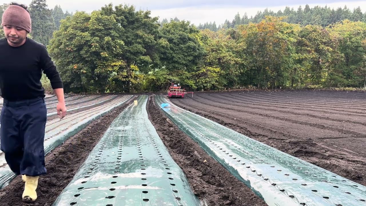 一人で頑張るマン(2025/10/18)