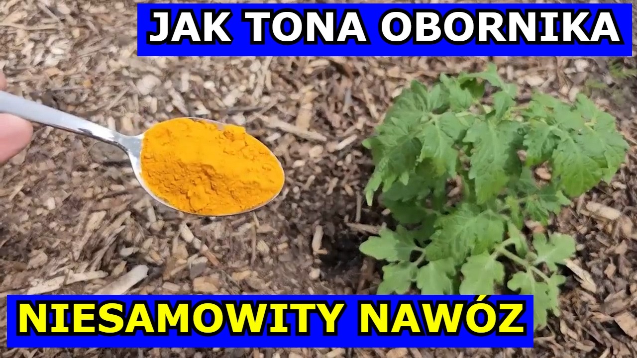 1 Łyżka jak Tona Obornika. Wspaniały Nawóz do Ogrodu. Jak Obornik Zwykły Granulowany. Preparat IF.