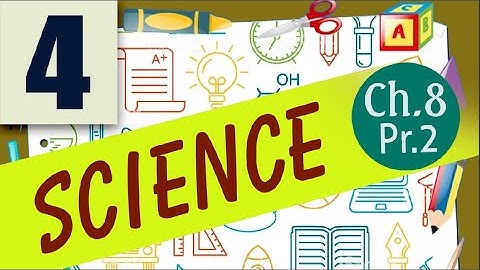 class 4 science chapter 8 adaptations in animals part 2