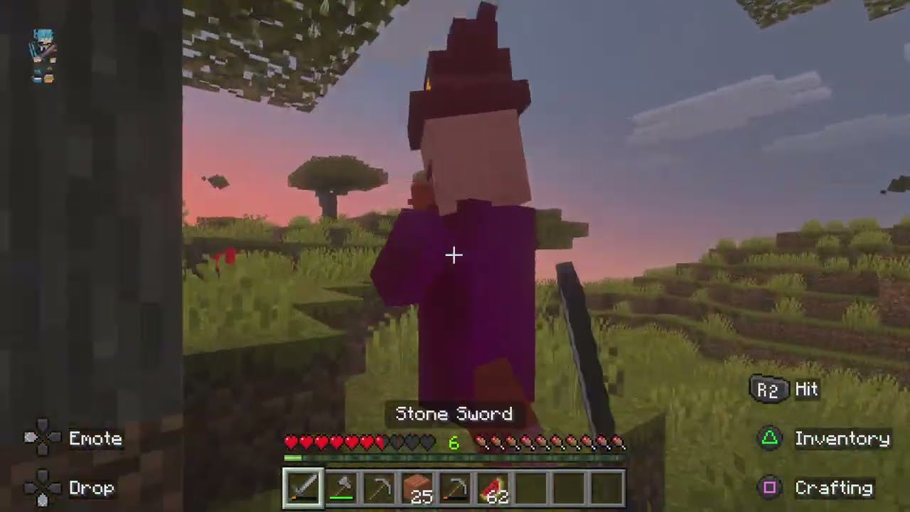 Minecraft Survivor Survival World!