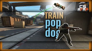 TRAIN: POP DOG control - the key to VICTORY on both sides | CS afap