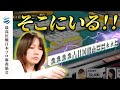 【カン!!】松井夢実のアニメみたいな嶺上開花 【第48期女流最高位戦Bリーグ】#松井夢実