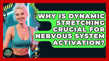 Why Is Dynamic Stretching Crucial For Nervous System Activation? - High Energy Training Hub