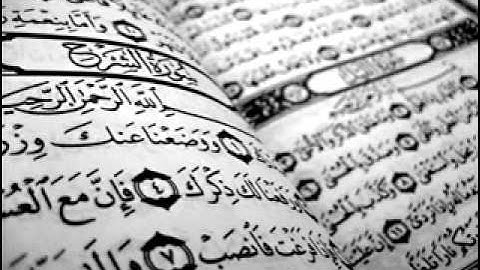 سورة المطففين / علي جابر