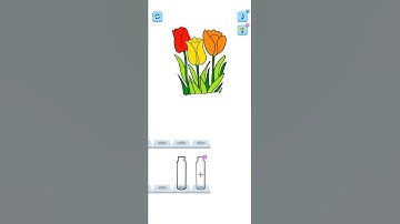 Flowers🌹Color Sorting Gameplay || Best Sorting Game Ever #puzzle #viral #shorts