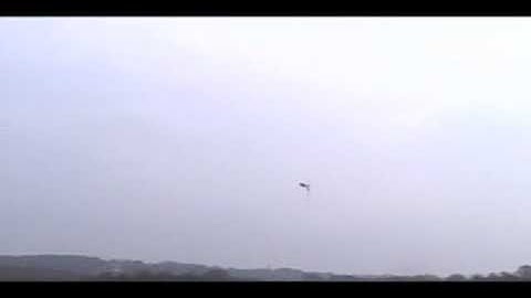 Align T Rex 700 Inverted Auto