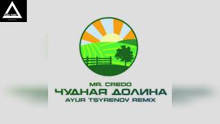 Mr. Credo - Чудная долина (Ayur Tsyrenov remix)