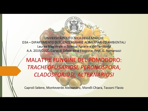 Video: Macchie fogliari angolari nelle piante - Come trattare la malattia delle macchie fogliari angolari