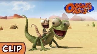 Oscars Oasis - Dont Hurt My Boy Hq Funny Cartoons