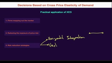 2.8.5 Practical Application of Cross Price Elasticity of Demand