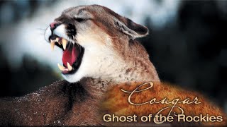Explore the Wildlife Kingdom | Cougar: Ghost of The Rockies | Full Movie | Grant Goodeve