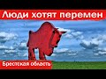 Жабинка, Кобрин, Береза - Брестская область против таракана!