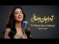 Farsi Lyrics To Mara Jan O Jahani تو مرا جان و جهانی 
