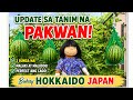 MALUSOG AT MALAKI! 🍉 PAKWAN UPDATE SA HOKKAIDO