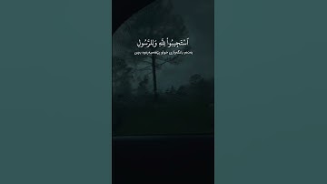 سورة الأنفال – آية ٢٤ | القارئ إدريس أبكر