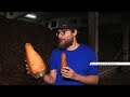 На юге Красноярского края фермер вырастил морковь весом больше 2,5 кг (Енисей Минусинск).