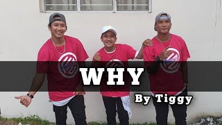 WHY | By Tiggy | Dance Work Out | FRNDZ🇵🇭