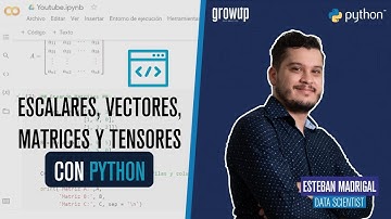 Conoce la diferencias sobre datos Escalares, Vectores, Matrices y Tensores con Python