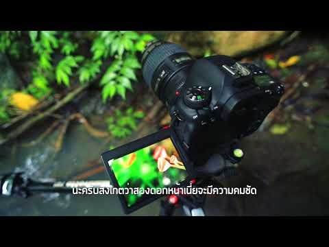 สอน ถ่ายรูป :: พรานภาพ EP 203เทคนิค ล่าภาพ Macro