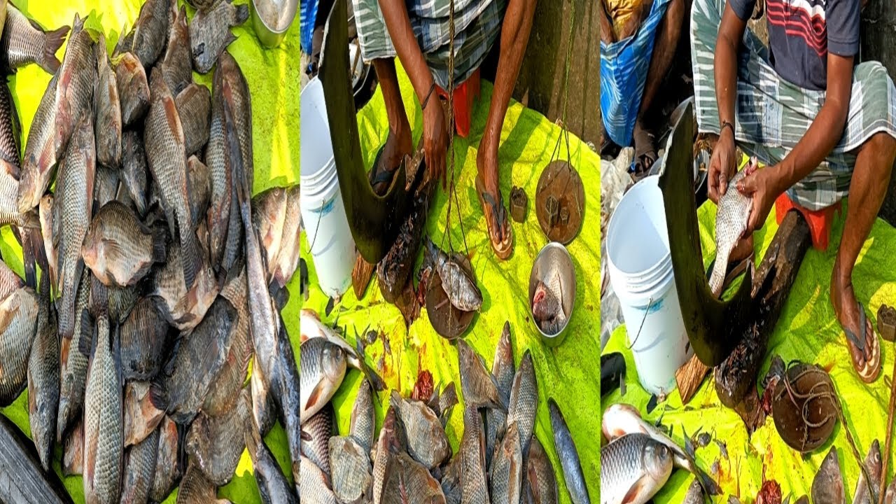 Amazing Tangra-Tilapia-Rui Fish Selling & Cutting Skills Live In ...