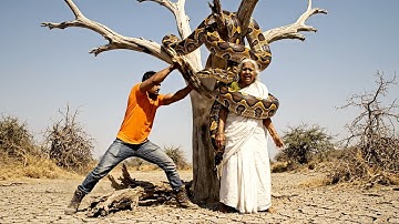 Elderly Woman vs Giant Python: Incredible Rescue Mission in Indian Arid Field