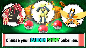 I attempted a Shiny only Randomized Nuzlocke of Omega Ruby