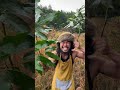 原人による実写化　〜あめあめふれふれ〜