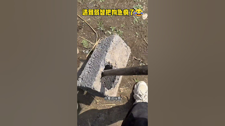 狗子都急的要说话了吧🤣